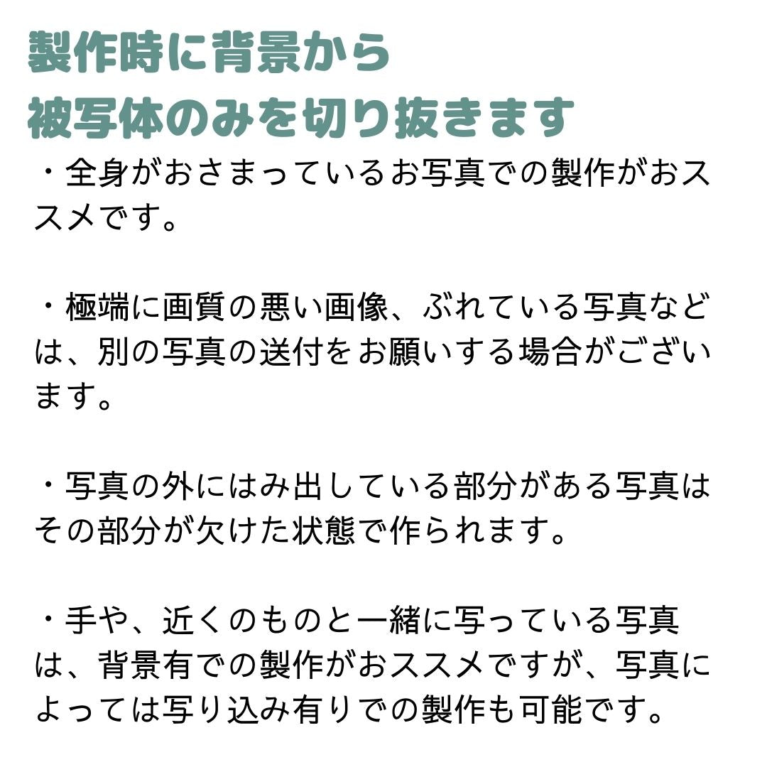 ペット アクリル位牌セット2（名入れ無料）6点 セット